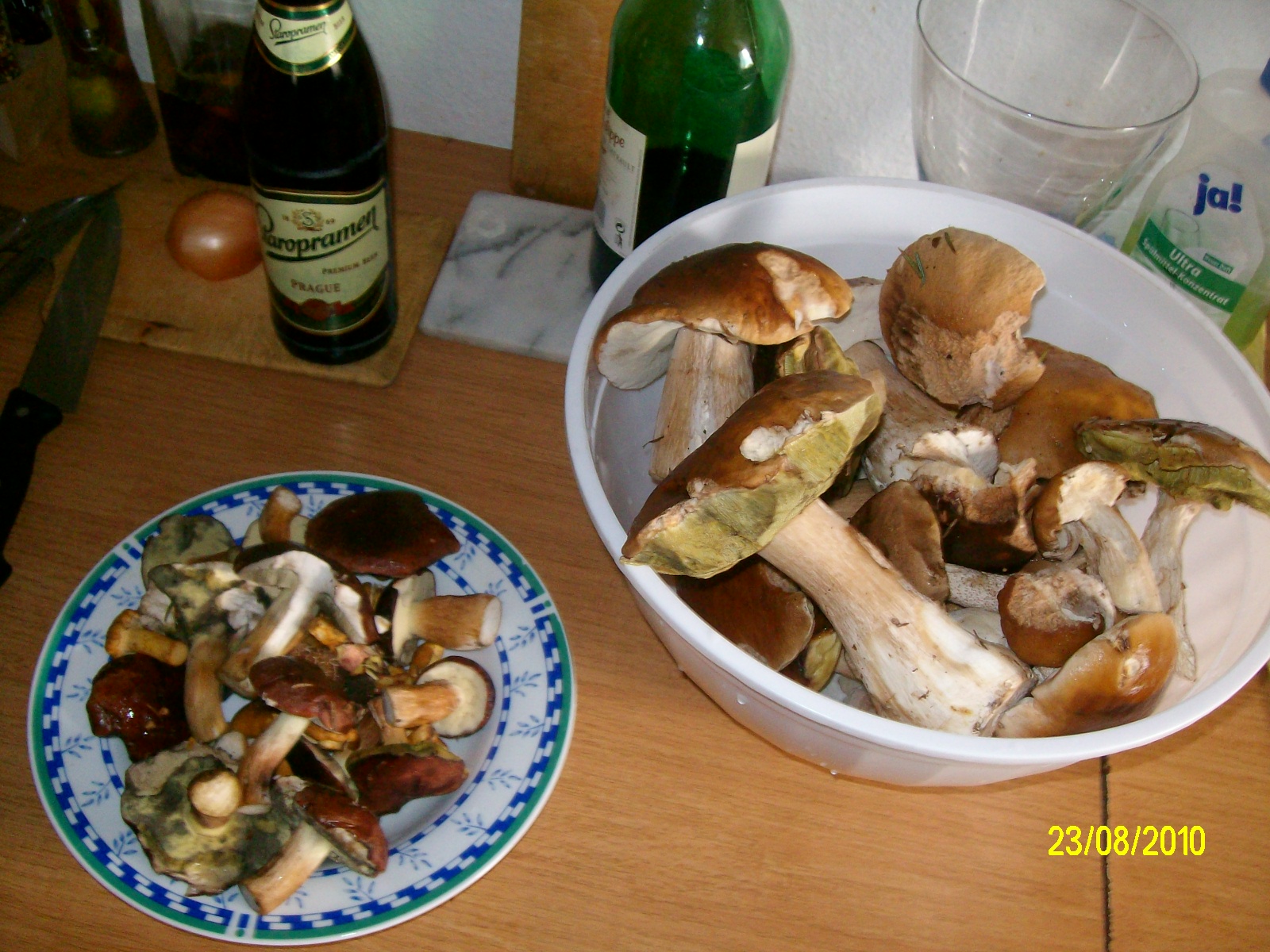 houby-hriby-grziby-pilze 053